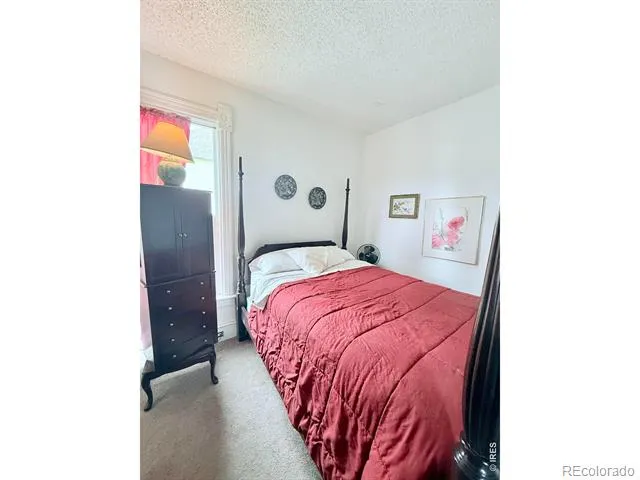 430 S 4th Street S Victor, CO 80860