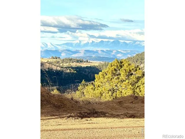 430 S 4th Street S Victor, CO 80860