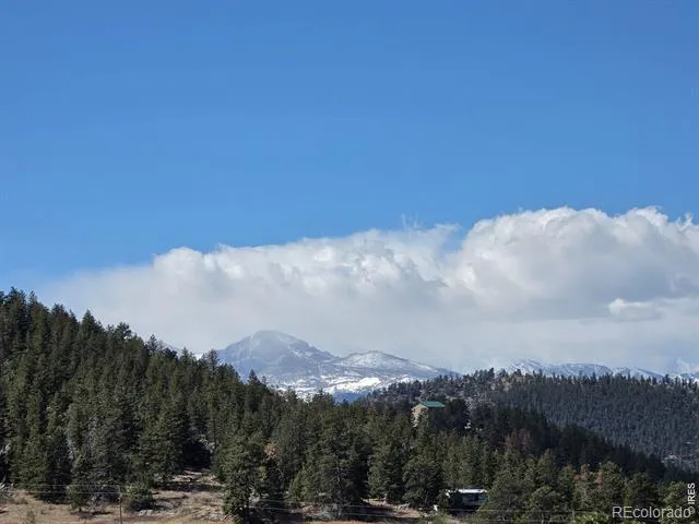 165 Wolf Drive Drake, CO 80515