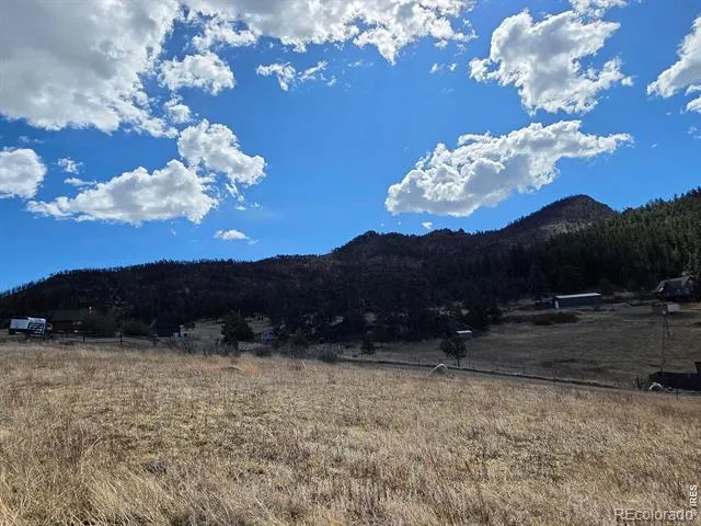 165 Wolf Drive Drake, CO 80515
