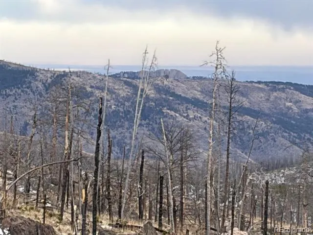 2025 Granite Road Bellvue, CO 80512