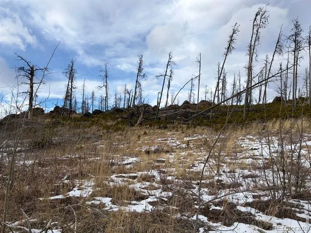 2025 Granite Road Bellvue, CO 80512