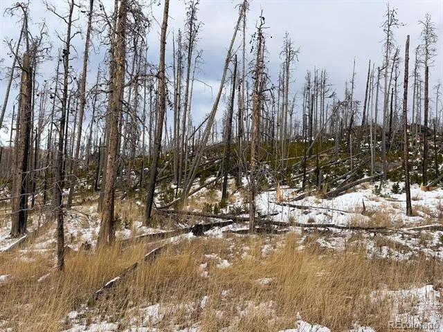 2025 Granite Road Bellvue, CO 80512