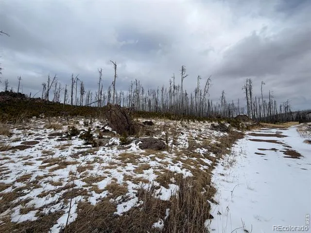 2025 Granite Road Bellvue, CO 80512