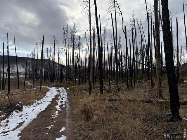 2025 Granite Road Bellvue, CO 80512