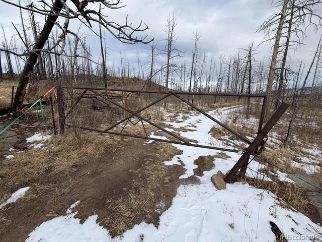 2025 Granite Road Bellvue, CO 80512