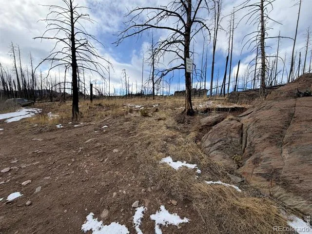 2025 Granite Road Bellvue, CO 80512