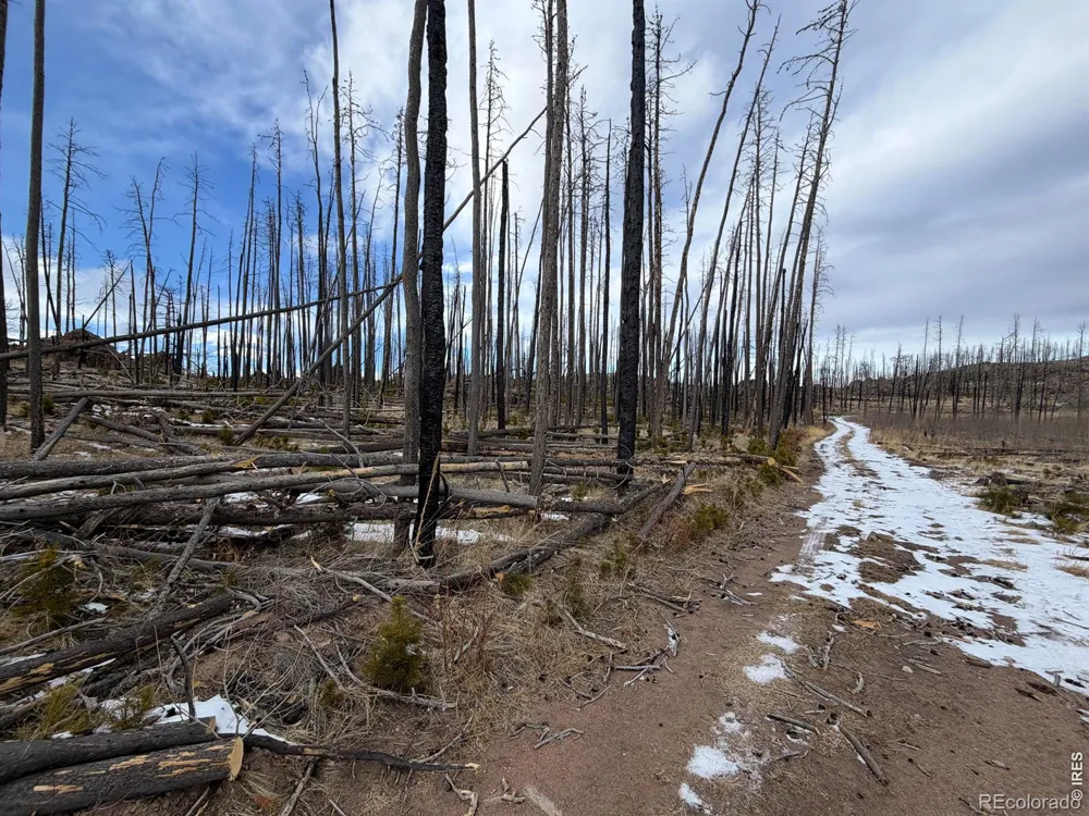2025 Granite Road Bellvue, CO 80512