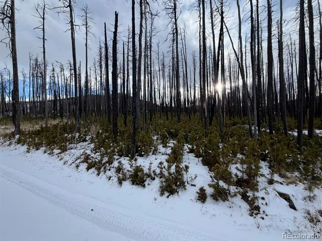 2025 Granite Road Bellvue, CO 80512