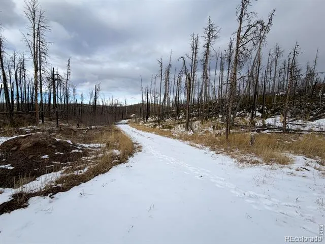 2025 Granite Road Bellvue, CO 80512