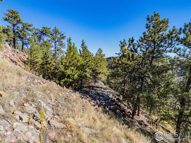 6109 Red Hill Road Boulder, CO 80302
