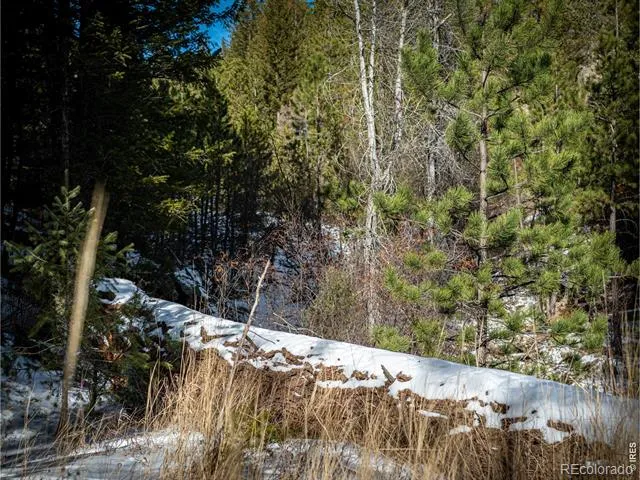 2127 US HIGHWAY 34 Drake, CO 80515