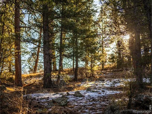 2127 US HIGHWAY 34 Drake, CO 80515
