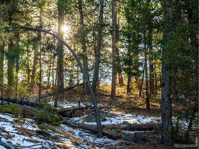 2127 US HIGHWAY 34 Drake, CO 80515