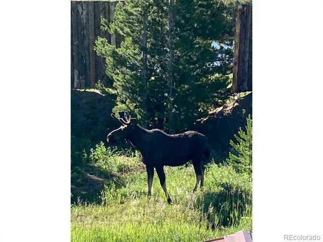 10658 US Highway 34 Grand Lake, CO 80447