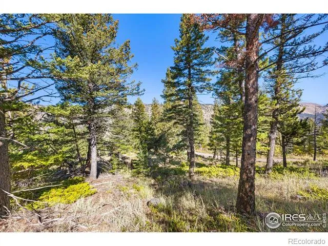 323 Roxbury Drive Boulder, CO 80302