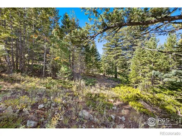 323 Roxbury Drive Boulder, CO 80302