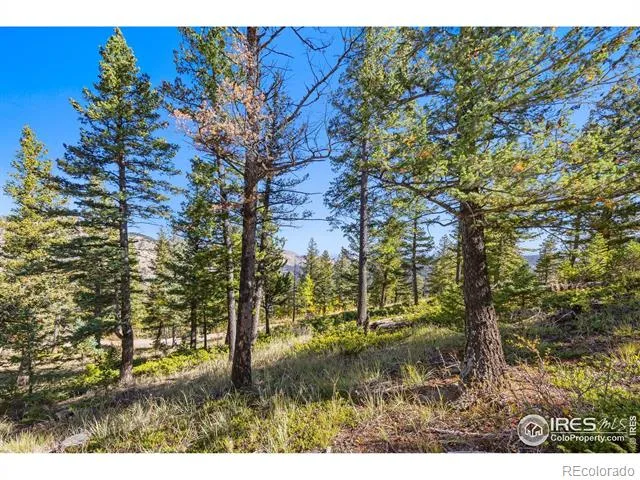 323 Roxbury Drive Boulder, CO 80302