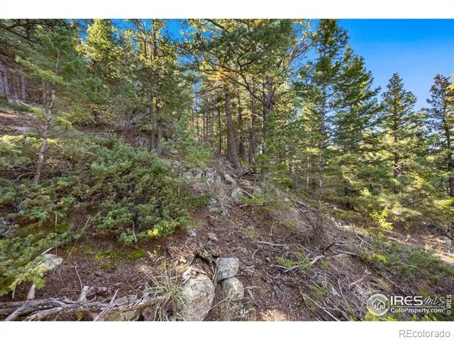 323 Roxbury Drive Boulder, CO 80302