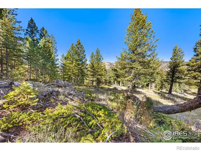 323 Roxbury Drive Boulder, CO 80302
