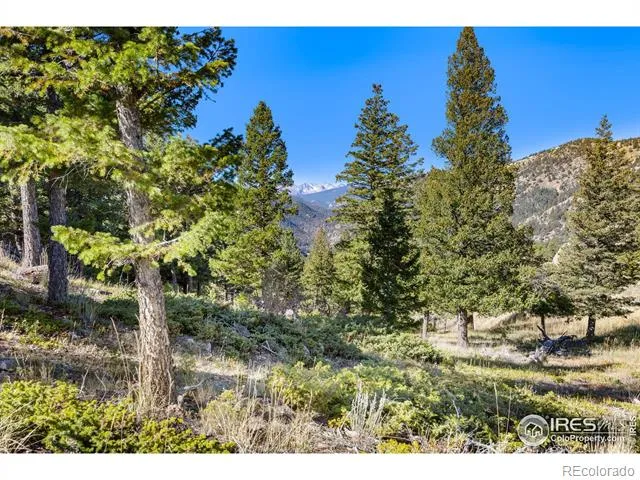 323 Roxbury Drive Boulder, CO 80302