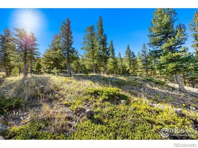 323 Roxbury Drive Boulder, CO 80302