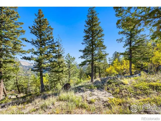 323 Roxbury Drive Boulder, CO 80302
