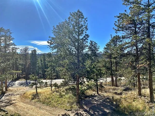 24192 W County Road 74e Red Feather Lakes, CO 80545