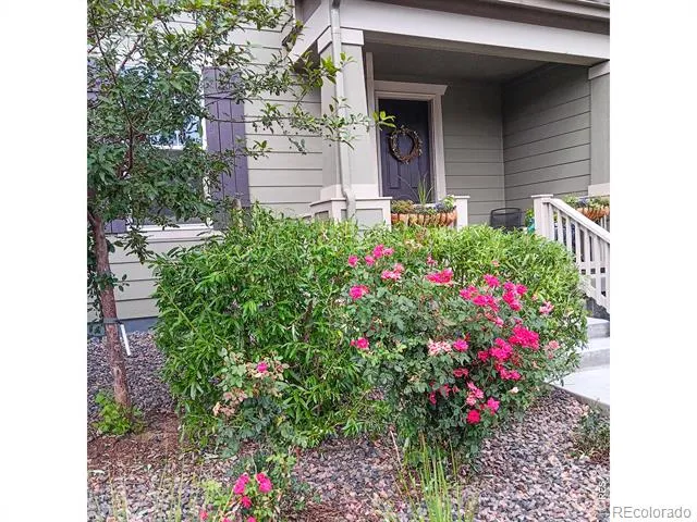 1154 Anker Drive Erie, CO 80516