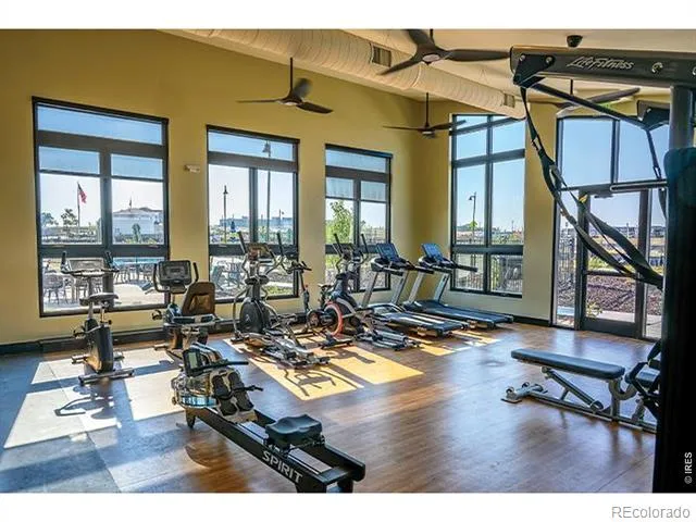 1154 Anker Drive Erie, CO 80516