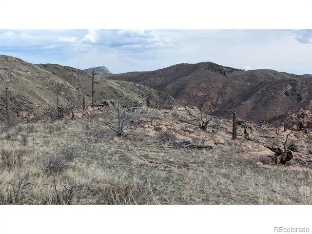 1360 Meadow Mountain Drive Livermore, CO 80536