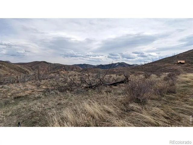 1360 Meadow Mountain Drive Livermore, CO 80536
