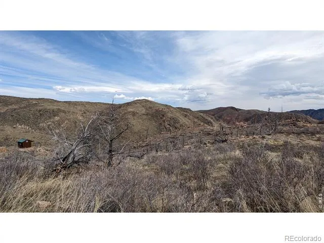 1360 Meadow Mountain Drive Livermore, CO 80536