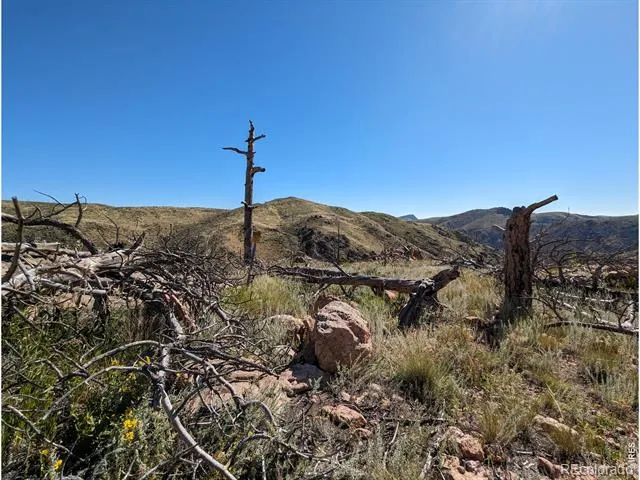 1360 Meadow Mountain Drive Livermore, CO 80536