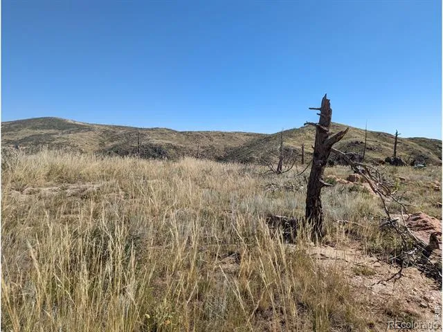 1360 Meadow Mountain Drive Livermore, CO 80536