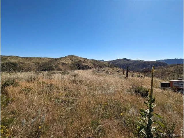 1360 Meadow Mountain Drive Livermore, CO 80536