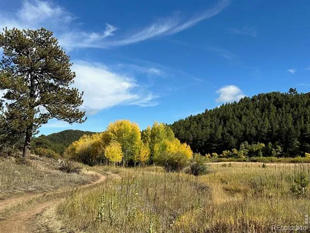17667 Highway 7 Lyons, CO 80540
