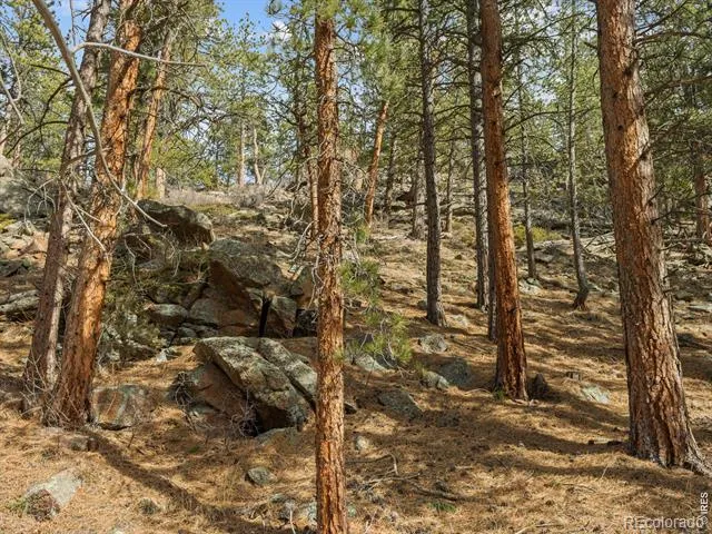 17667 Highway 7 Lyons, CO 80540