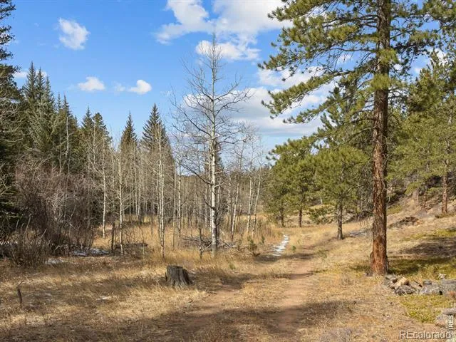 17667 Highway 7 Lyons, CO 80540