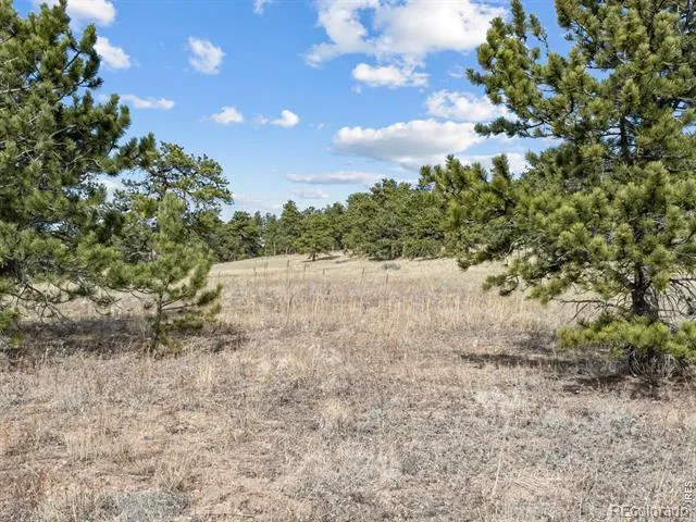 17667 Highway 7 Lyons, CO 80540