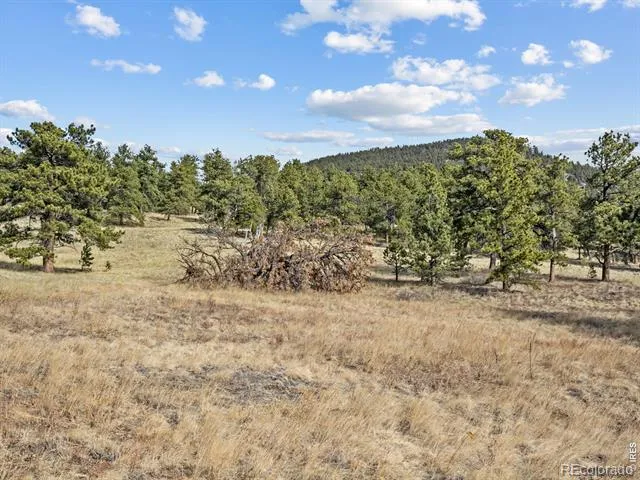 17667 Highway 7 Lyons, CO 80540