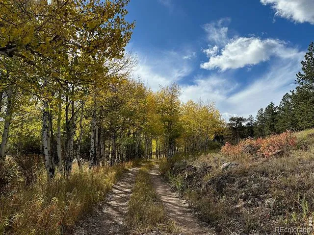 17667 Highway 7 Lyons, CO 80540