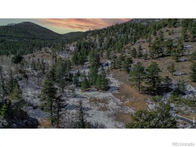 2799 Kiowa Court #Lot 24 Estes Park, CO 80517
