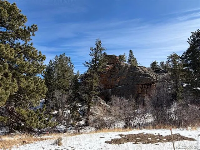 2799 Kiowa Court #Lot 24 Estes Park, CO 80517