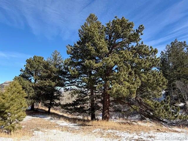 2799 Kiowa Court #Lot 24 Estes Park, CO 80517