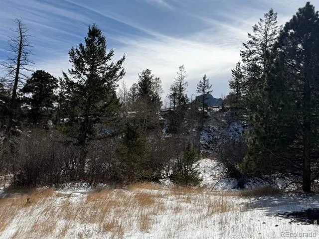 2799 Kiowa Court #Lot 24 Estes Park, CO 80517