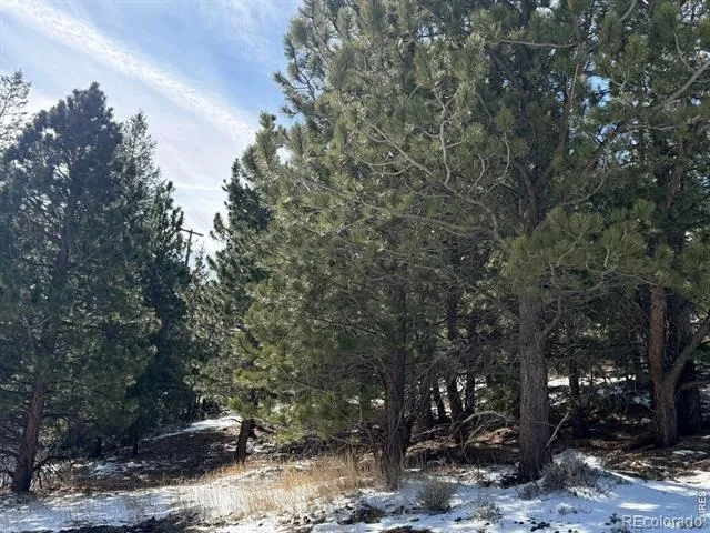 2799 Kiowa Court #Lot 24 Estes Park, CO 80517