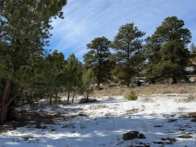 2799 Kiowa Court #Lot 24 Estes Park, CO 80517