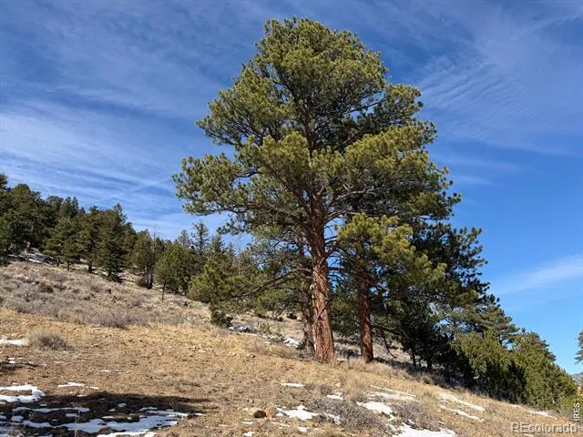 2799 Kiowa Court #Lot 24 Estes Park, CO 80517