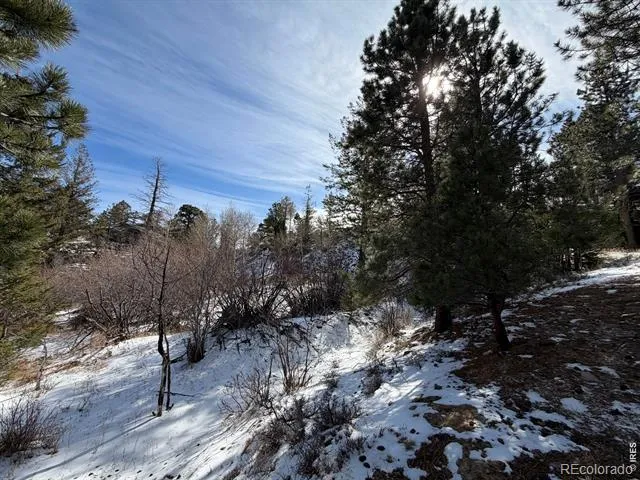 2799 Kiowa Court #Lot 24 Estes Park, CO 80517
